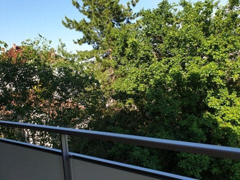 Appartement Foch A Colmar Eksteriør billede